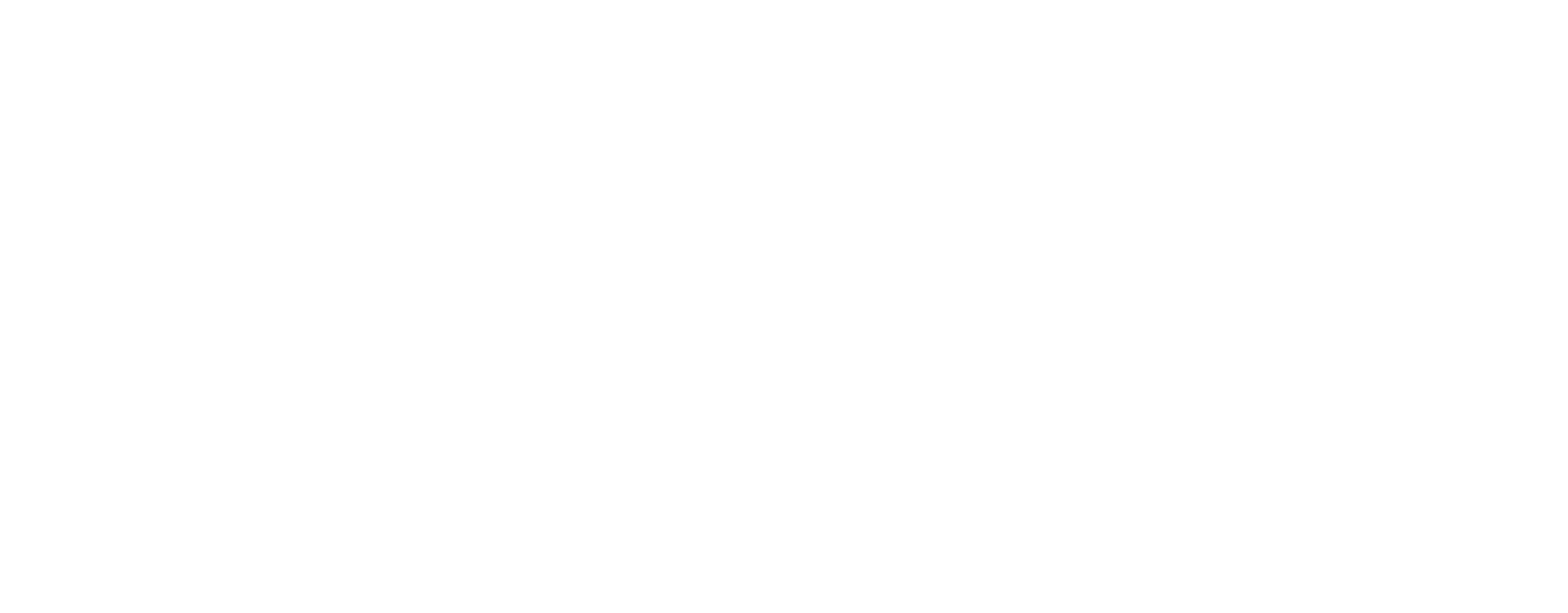 Shalaby Smiles Logo White